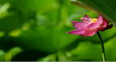 0bf4ab66b0fa458381e14a0af1f71db8.png image.png