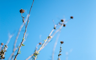 85d059a6b28249e99dce6af595c0d282.png image.png