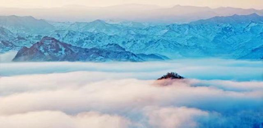 084b66aaf5244a9d8bbc795ec30acdb8.png image.png