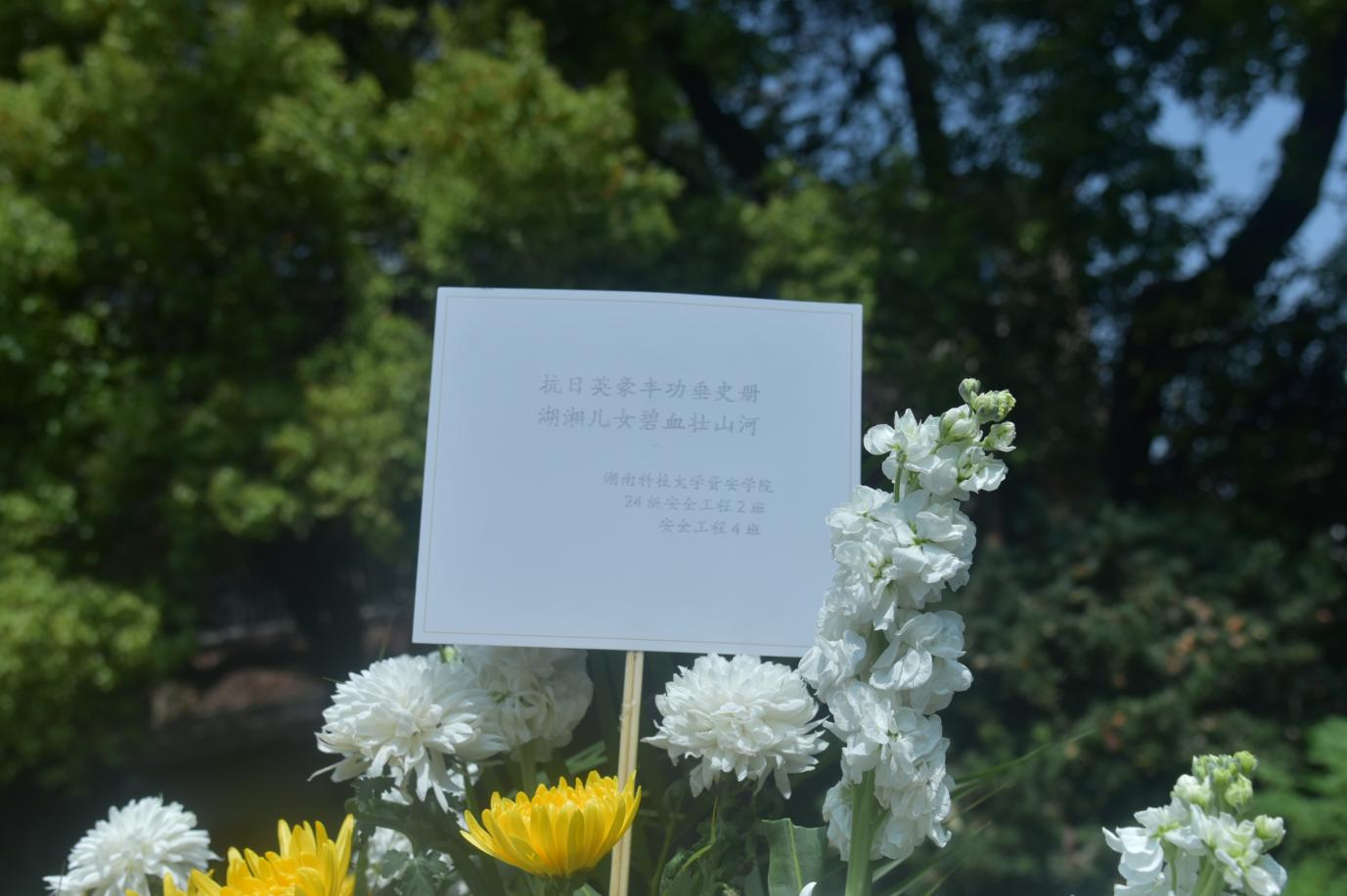 715c7de9c5b34dd9b47b199b6cf1c2e7.png 图片1.png